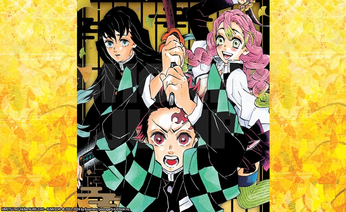 demon slayer kimetsu no yaiba manga