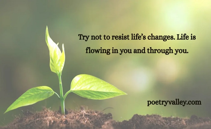 life unique dp quotes